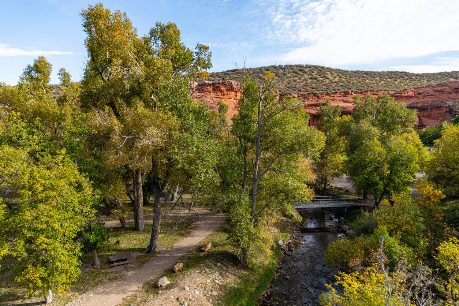Tall green trees line a path at Ayres Natural Bridge Park, with a red-rock canyon rising in the distance.