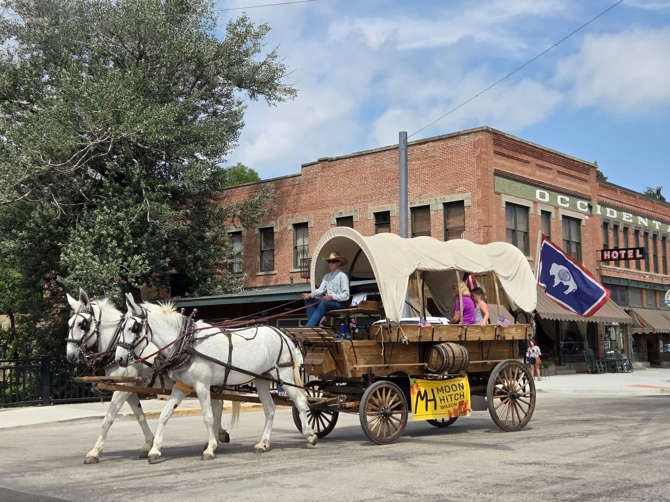 Horse-drawn wagon in town parade.