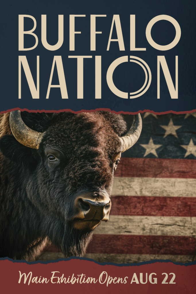 Buffalo Nation LED Main Exhibition Opens