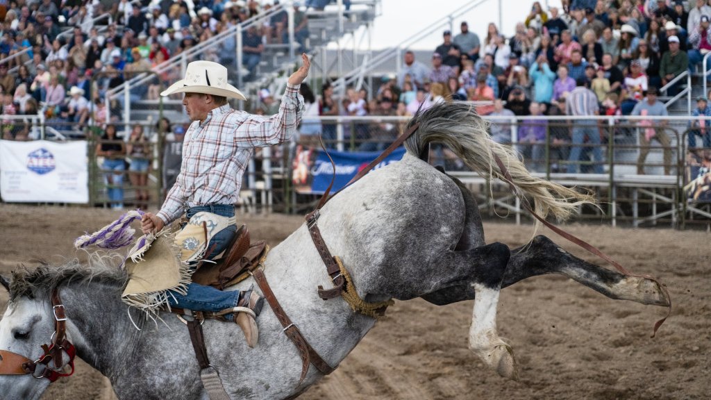 Nate Shoutis LOTRA Pioneer Days Rodeo 09
