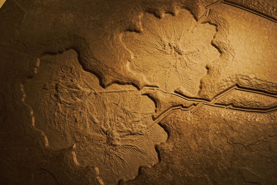 Close-up of ancient petroglyph markings etched across a prehistoric rock wall.