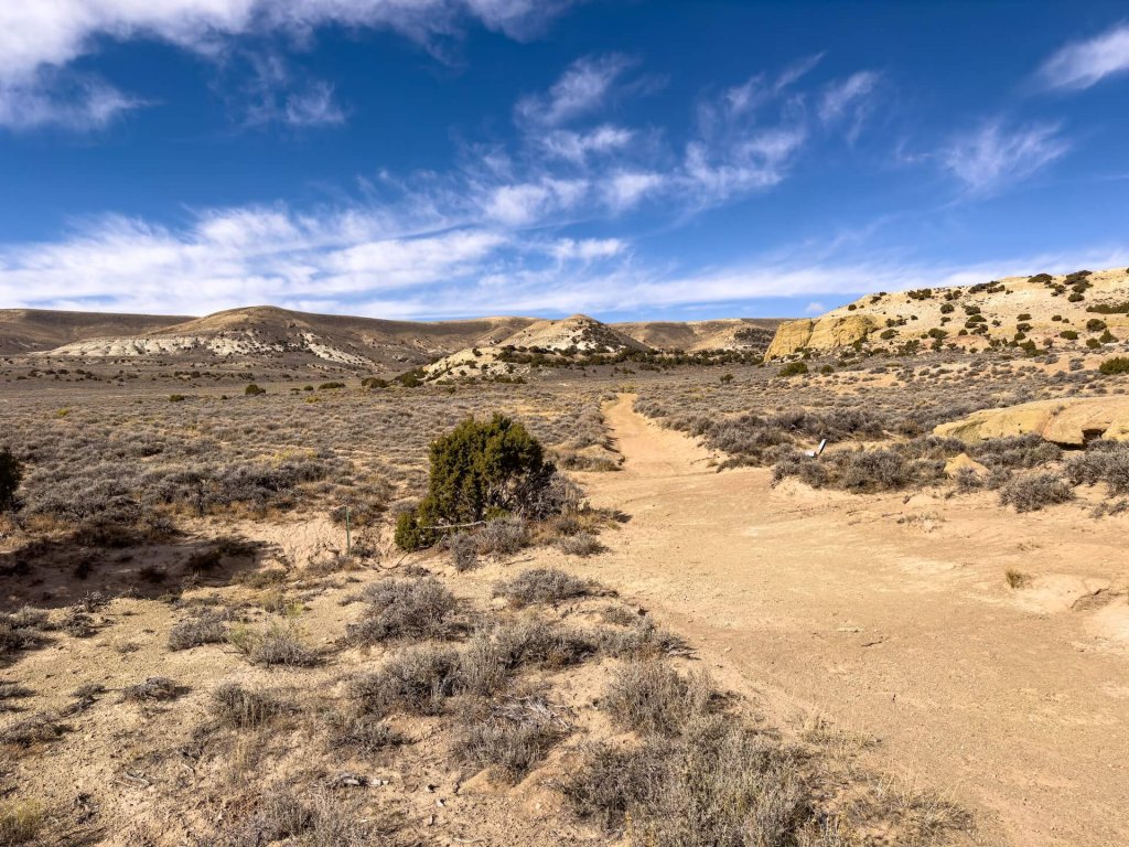 A dirt trail surrounded by a sprawling desert landscape covered with brush and hills in Rock Springs.